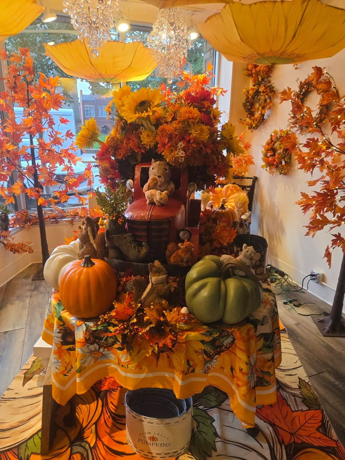 The fall display: a draped table heaped with pumpkins, gourds, sunflowers and maple leaves